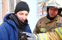 У Запоріжжі рятувальники знайшли кішку у будинку, який зруйнувала російська ракета
