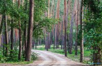 Пункт призначення №16. Село Орлівщина, Новомосковський район Дніпропетровської області