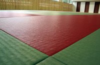 «Укрспортобеспечение» купило дорогие татами на 1,3 млн грн