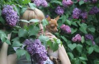 Завтра в Киеве до +20, без осадков и без сильного ветра