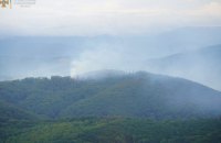 Понад 200 рятувальників гасили масштабну пожежу на горі Савчин на Закарпатті