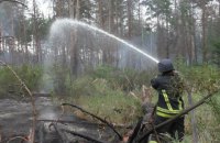 Пожар в заминированном лесу под Станицей Луганской потушили
