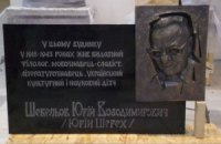 Харьковские общественники начали собирать деньги на новую доску Шевелеву