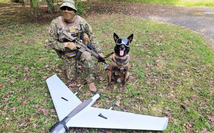 На Харківщині службовий пес знайшов російський безпілотник