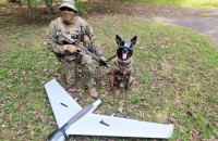 На Харківщині службовий пес знайшов російський безпілотник