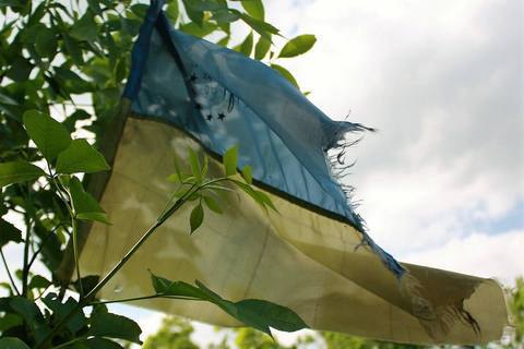 Силы АТО продвинулись вперед у Бахмутской трассы