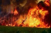 У Чилі в результаті лісових пожеж знищено місто