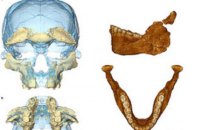 Homo sapiens появились на 100 тыс. лет раньше, чем считалось ранее