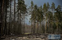 Захист лісу чи урізання прав громад? Про що насправді законопроект №5650