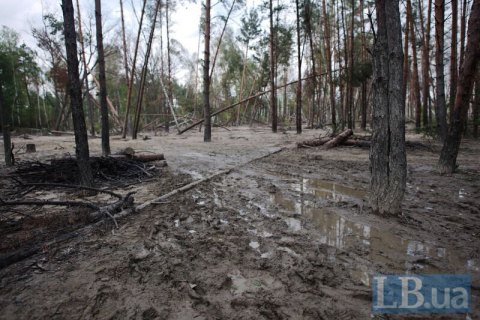 Суд оправдал экс-полицейского, якобы покрывавшего незаконную добычу янтаря