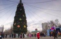 Днепропетровцы предпочитают западноукраинские елки