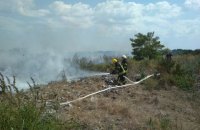 На сміттєзвалищі під Трипіллям сталася велика пожежа