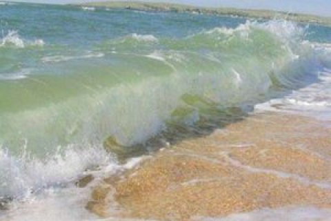 Пятеро мужчин утонули в Херсонской области, купаясь во время шторма за пределами пляжа
