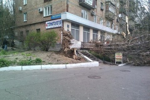 В Киеве объявили штормовое предупреждение