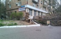 В Киеве объявили штормовое предупреждение