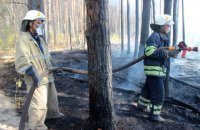 В Чернобыльской зоне продолжается ликвидация пожара