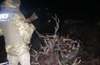 Двое украинцев и белорус собирали рога диких животных в Чернобыльской зоне