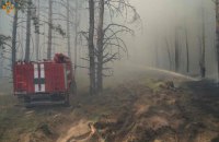 На Луганщині спалахнула лісова пожежа