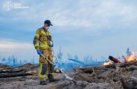 У Чорнобильській зоні гасять пожежу лісової підстилки і валежнику