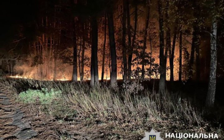 На Київщині через падіння уламків "шахедів" виникли пожежі