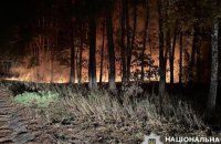 На Київщині через падіння уламків "шахедів" виникли пожежі