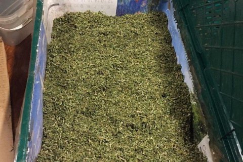 ​Одесский суд закрыл дело о контрабанде трех тонн марихуаны под видом бананов в 2000 году