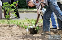Алея пам’яті українських військових