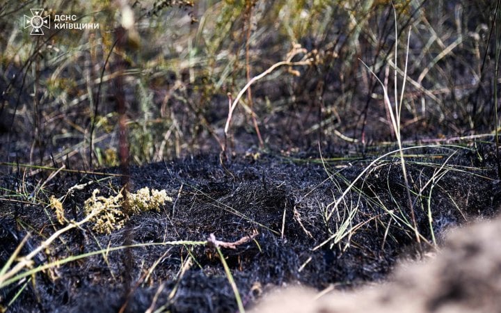 Рятувальники ліквідували лісову пожежу у Чорнобильській зоні 