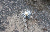 Росіяни за вчора били по Херсонській області 40 разів
