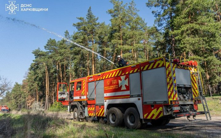 На Харківщині загасили лісову пожежу, яка спалахнула п’ять днів тому