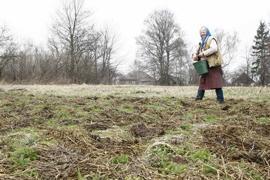 Иностранцы не смогут покупать украинские земли