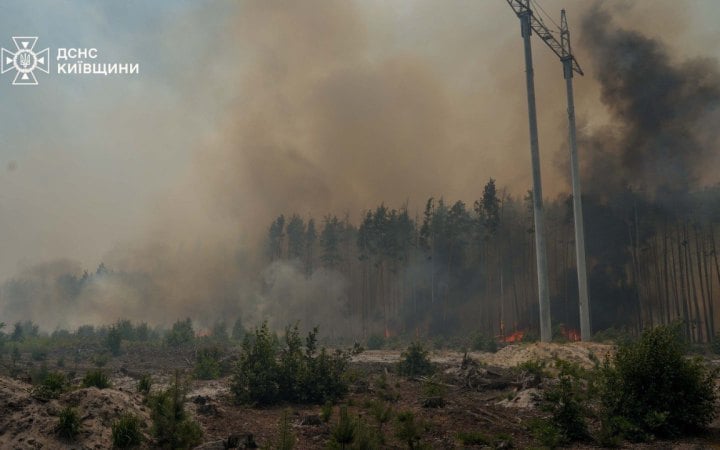 Рятувальникам вдалося ліквідувати пожежу площею 130 га у Чорнобильській зоні
