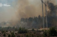 Рятувальникам вдалося ліквідувати пожежу площею 130 га у Чорнобильській зоні