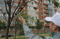 У Петербурзі сад "озеленили", примотавши до засохлих дерев зелені гілки скотчем