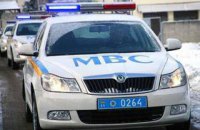 МВД разработало сервис для проверки удостоверения водителя
