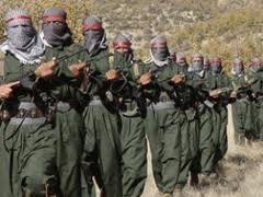 Протесты курдов в Турции завершились применением силы