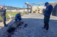 Поліція ексгумувала тіла мешканців Харківщини, які загинули внаслідок воєнних злочинів Росії