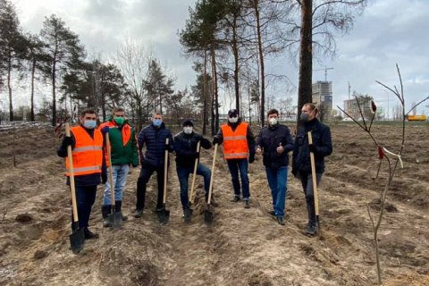 На місці випаленого лісу біля метро "Лісова" в Києві висадили нові дерева