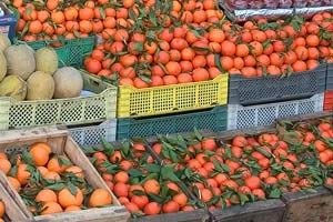 Украинцы в 2011 году съели рекордное количество мандаринов