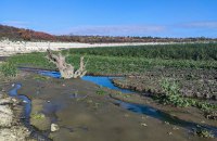 Вербове море. Або що зараз відбувається на місці Каховського водосховища