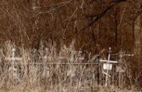В Днепропетровске коммунальщики начали уборку кладбищ 