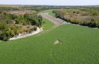 Дно колишнього Каховського водосховища засіяли рослинами, - Міндовкілля