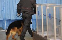 Страна загнивающей демократии? Или праздник победившей тыквы?