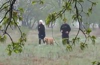 Пробежку Тимошенко сняли на видео