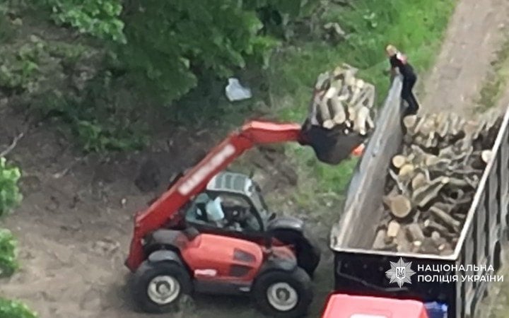 На Полтавщині викрили масштабну схему незаконної лісозаготівлі