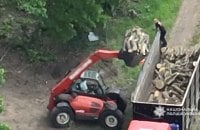 На Полтавщині викрили масштабну схему незаконної лісозаготівлі