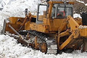 Бульдозеристы в России оказались востребованнее юристов