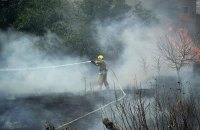 На Миколаївщині горіло поле пшениці через обстріл РФ