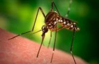 У Харкові зареєстрували завезений випадок малярії