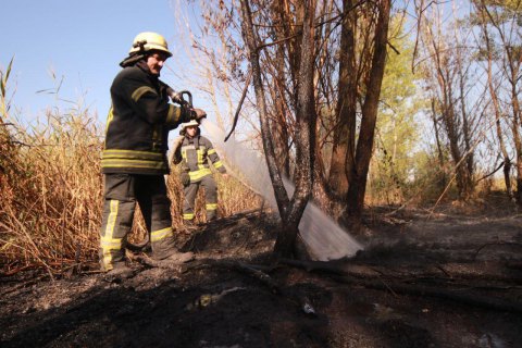 Пожежу на стихійному сміттєзвалищі у Києві ліквідовано